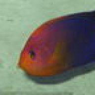 redbbb