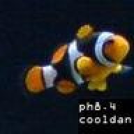 cooldan