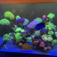 s553226kimo