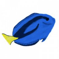 hepatus