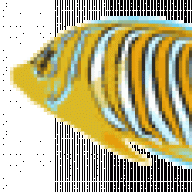 alan2569