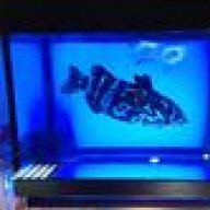NIPRO