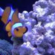 Blueocean