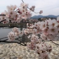 qoo0705tw