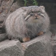 YUUTO