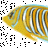 alan2569