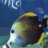AlvinWoW